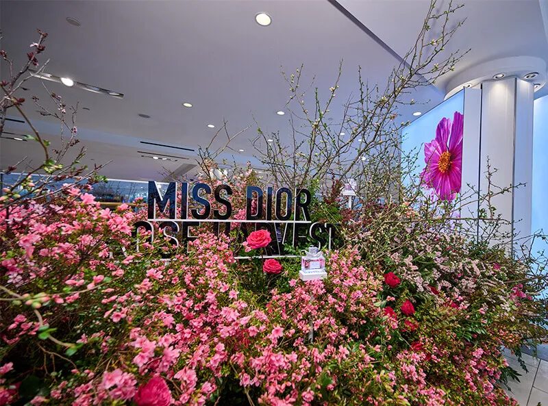 Macy's Flower Show  Things to do in New York